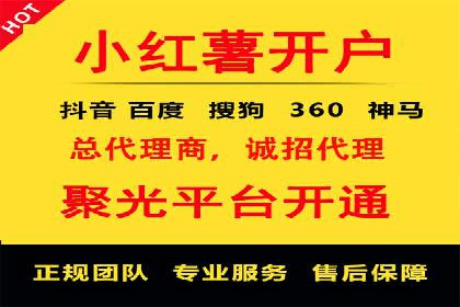 SEM搜索引擎优化策略解析与应用案例